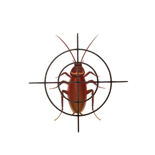 Traitement nuisibles Indre-et-Loire