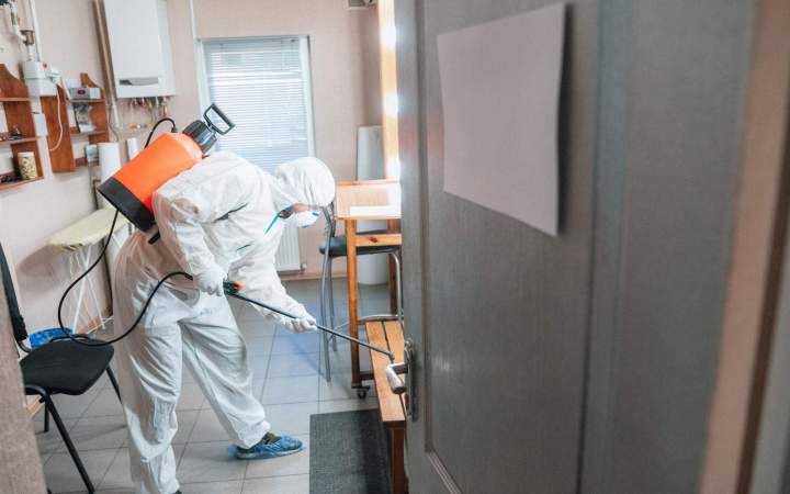 Entreprise de désinsectisation Indre-et-Loire