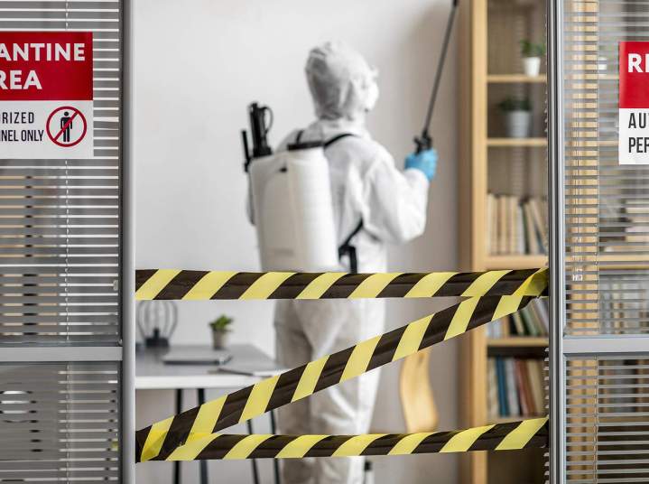 Solutions efficaces de dératisation